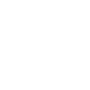 Automobile